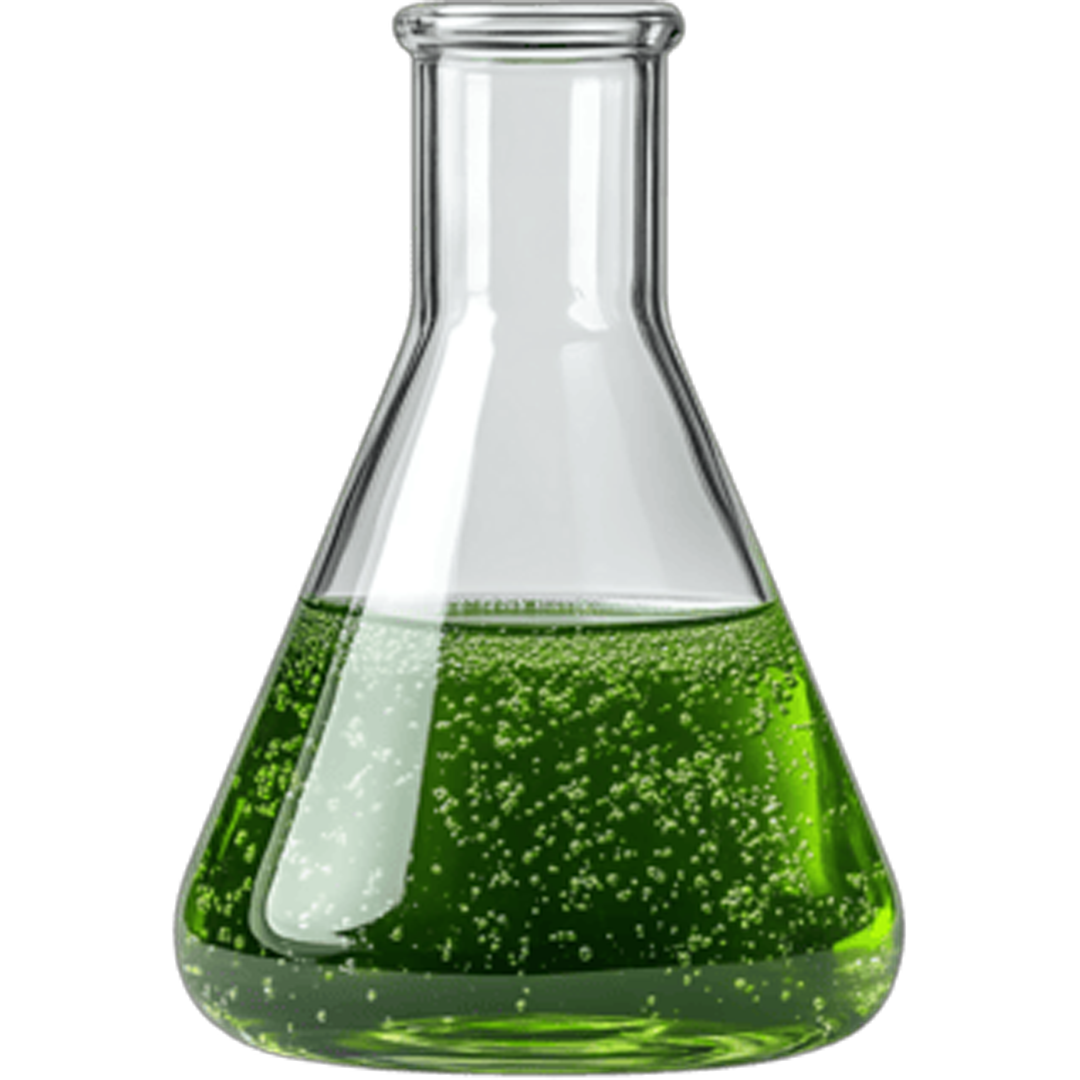 04 biofuel flask